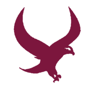 untitled design 4 e1650888820432