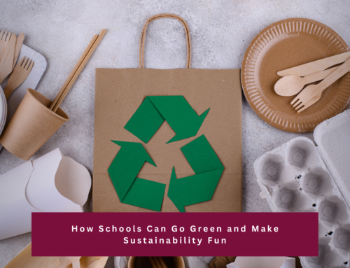 How Schools Can Go Green and Make Sustainability Fun