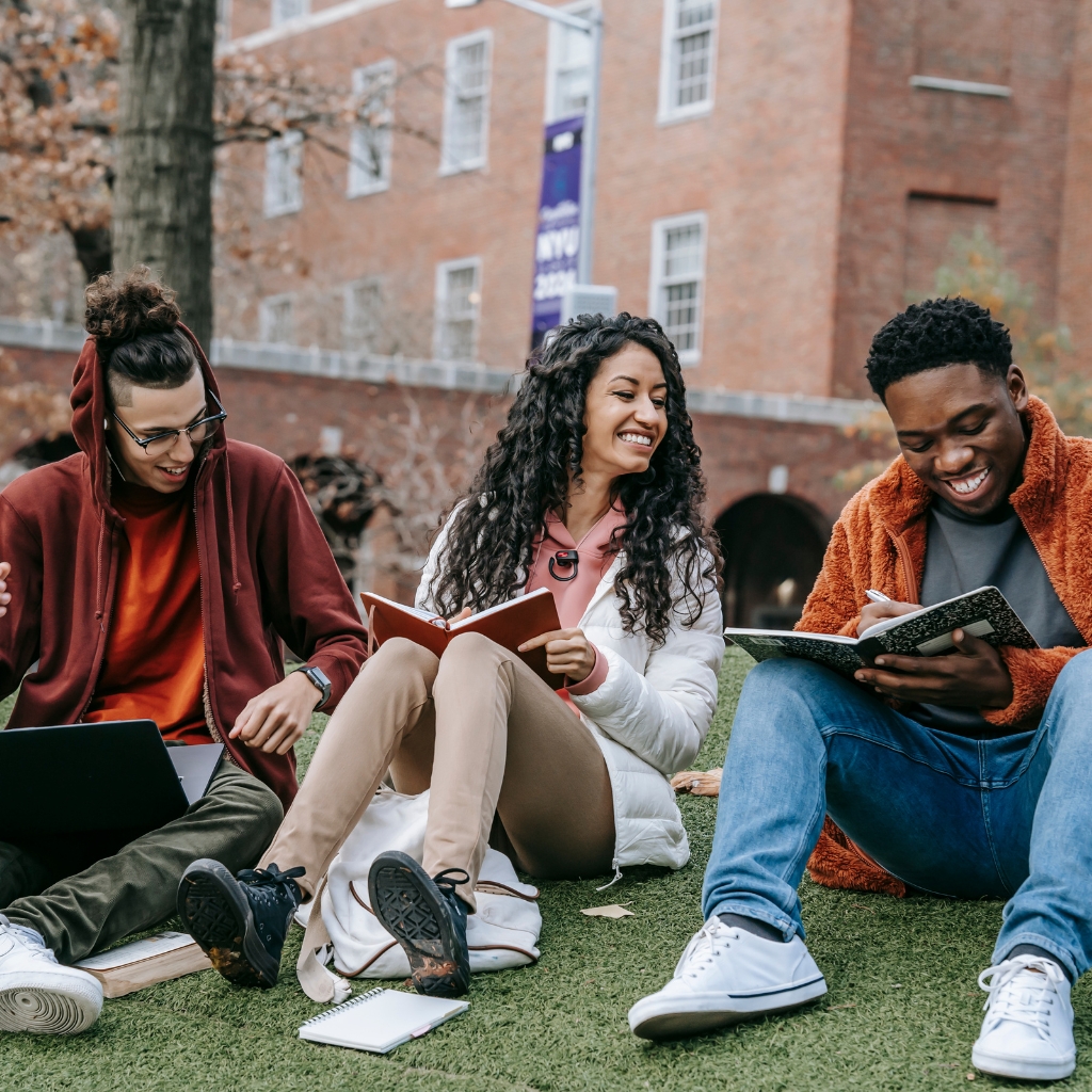 postgraduate diploma oveview lsbuk